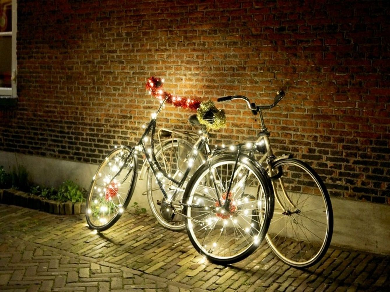 Bike Shop, Bikes, Trek Rockford Bike Shop Rockford, Michigan